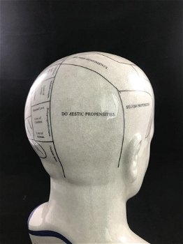 Een porseleinen phrenology hoofd in blauwe kleuring - 0