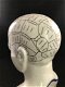 Een porseleinen phrenology hoofd in blauwe kleuring - 1 - Thumbnail