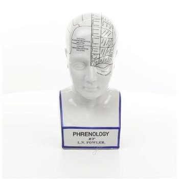 Een porseleinen phrenology hoofd in blauwe kleuring - 5