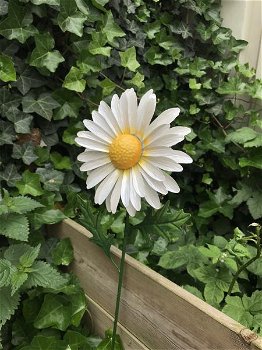 Metalen margriet als mooie decoratie in de tuin-bloem-kado - 5