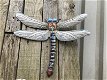 Set libelles, metalen wandornamenten, kado - 4 - Thumbnail
