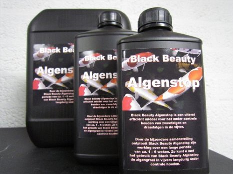 Black Beauty Algenstop - 0