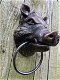 Wildzijn hoofd ijzer in brons-look, met handdoek ring - 3 - Thumbnail