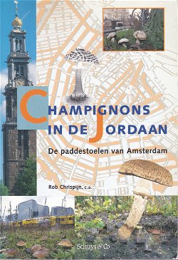 Champignons in de Jordaan. De paddestoelen van Amsterdam