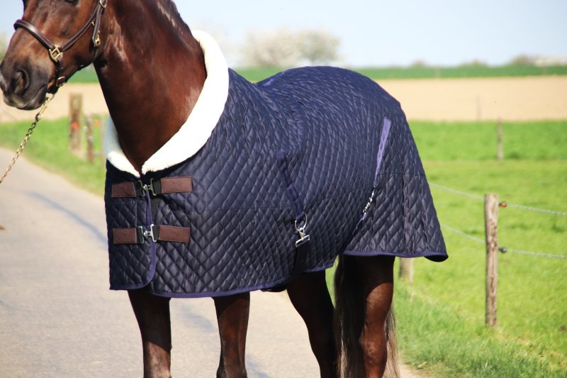 Profi-Rider Showdeken Blauw/Burgundy - Afbeelding 2