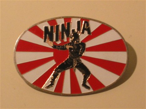 Pin Ninja - 2