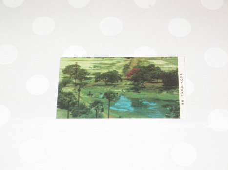Sticker Landschap - Milkana - 0