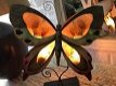 Een metalen lamp in de vorm van een vlinder-kado , vlinder - 0 - Thumbnail