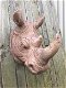 Een prachtige kop van een neushoorn , polystone, kado - 3 - Thumbnail