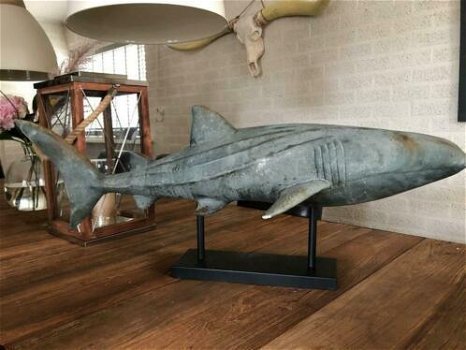 Zeer apart is deze haai op stand, zeer groot-haai , deco - 1