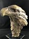 Een prachtige kop van een adelaar- adelaar, polystone - 5 - Thumbnail