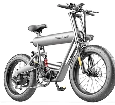 Coswheel T20 E-bike 20Ah Battery 48V 500W Motor 50-70 Range 