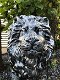 Prachtig beeld van een leeuw, polystone, zilver-grijs,detal - 5 - Thumbnail