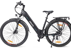 ESKUTE Polluno Electric Bicycle 250W Rear-hub Motor