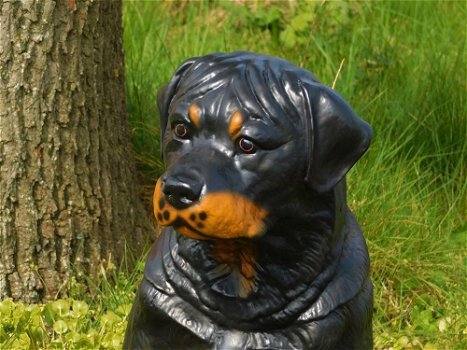 Prachtig polystonen beeld van rottweiler,hond,beeld kado - 4