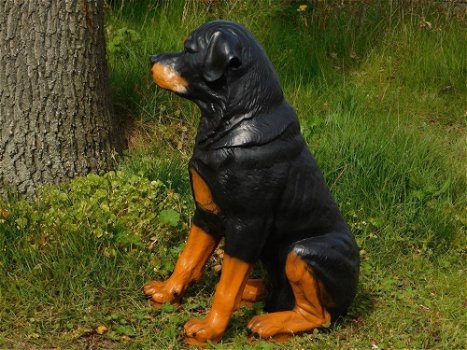 Prachtig polystonen beeld van rottweiler,hond,beeld kado - 6