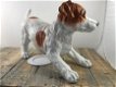 Mooi beeld van een Jack Russel, hond ,hondje, verzamel - 4 - Thumbnail