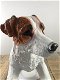 Mooi beeld van een Jack Russel, hond ,hondje, verzamel - 5 - Thumbnail