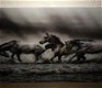 Kunst op glas van paarden in water, prachtig , paard - 1 - Thumbnail