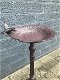 Fraai vogelbad op voet,lleuk decoratief vogeltje op de rand - 0 - Thumbnail