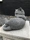 Beeld van een spelende kat , poes,steen, heel leuk, kado - 4 - Thumbnail