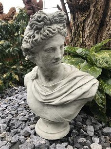 Buste van Apollo, mannelijke buste, sculptuur van Apollo