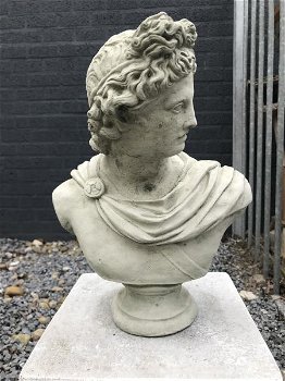 Buste van Apollo, mannelijke buste, sculptuur van Apollo - 4