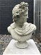 Buste van Apollo, mannelijke buste, sculptuur van Apollo - 4 - Thumbnail