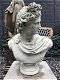 Buste van Apollo, mannelijke buste, sculptuur van Apollo - 6 - Thumbnail