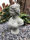 Buste van Diana, vrouwelijke buste, sculptuur van Diana - 2 - Thumbnail