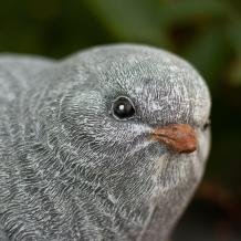 Fraai sculptuur van een vogeltje, stenen dierfiguur , mus - 3