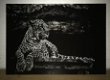 Kunst op glas van een liggende luipaard-panter, LUIPAARD - 6 - Thumbnail