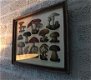 Een wandornament met houten omlijsting , paddenstoel - 0 - Thumbnail