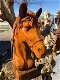 gietijzeren-sculptuur-paardenhoofd , paard , tuinbeeld - 2 - Thumbnail