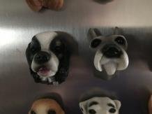 Koelkast magneten, 12 honden als leuke decoratie,magneet - 3