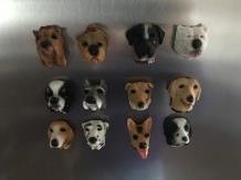 Koelkast magneten, 12 honden als leuke decoratie,magneet - 7