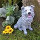 Tuinbeeld hond, Collie , stenen beeld, dierenbeeld-hond - 1 - Thumbnail