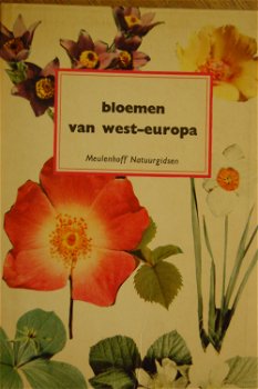 Bloemen van West-Europa - 0