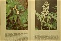 Bloemen van West-Europa - 1 - Thumbnail
