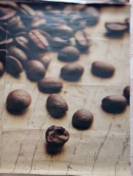 wandposter koffie - 5