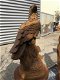 Gedetailleerd sculptuur van een adelaar zittend op een rots - 3 - Thumbnail