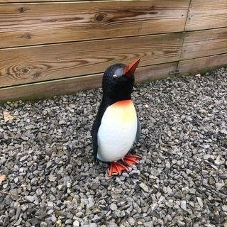 met de hand vervaardigd Pinguïn in kleur , pinquin - 2