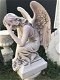 Mooie forse knielende engel, prachtig scherp beeld - 6 - Thumbnail