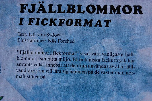 Fjällblommor i fickformat - 3