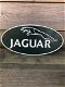 Wandbord Jaguar , decoratie , kado - 1 - Thumbnail