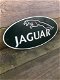 Wandbord Jaguar , decoratie , kado - 3 - Thumbnail