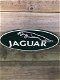 Wandbord Jaguar , decoratie , kado - 4 - Thumbnail