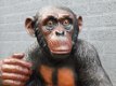 Zittende aap ,zeer gedetailleerd aap , gorilla ,kado - 0 - Thumbnail