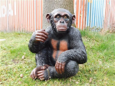 Zittende aap ,zeer gedetailleerd aap , gorilla ,kado - 2