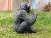 Zittende aap ,zeer gedetailleerd aap , gorilla ,kado - 3 - Thumbnail